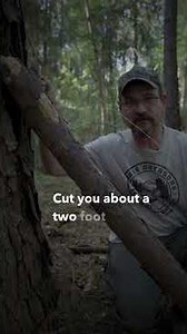 DIY Squirrel Trap Using Just Wire and a Log #bushcraft #survival