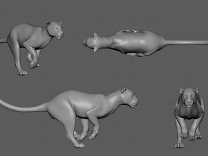 The Rookies - Leopard Walk and Run Cycle - MAYA 2023, by AleTommasi