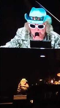 concert Michel Polnareff stade pierre Mauroy 28/06/2025 la poupée qui fait non