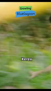 Dean Saves Emma from dan.ger #IslandSurvival #bluelagoon #reels #islandlife #reelsvideoシ #fbreelsfypシ゚viralfbreelsfypシ゚viral #forintertainmentpurposesonly #trendingreelsvideo #followerseveryone #highlightseveryone | Rex Parinasan