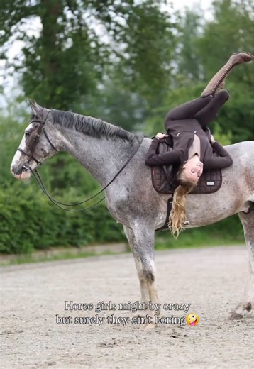 Living with My Equestrian Adventures and Fun