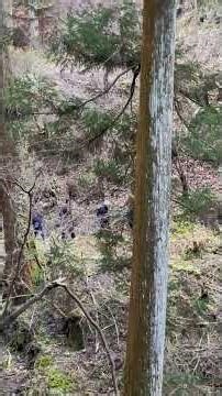 Vol.2 涓塵会2025比叡山回峰行#延暦寺#阿闍梨#千日回峰行#天台宗#最澄#相応和尚#薬師如来#不動明王