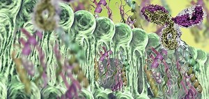 Panel discussion: considerations and challenges of ligand binding assays