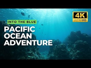 Dive into the Pacific Ocean | A Deep Sea Adventure | 4K HD Adventure Video