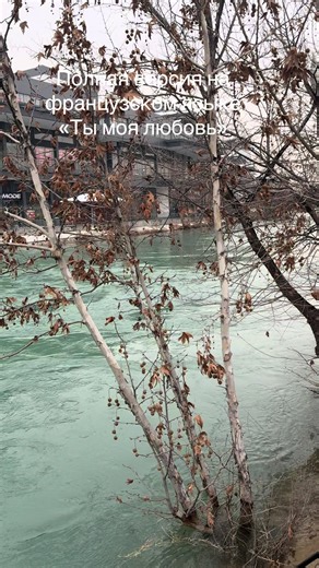 Ты моя любовь: французская версия