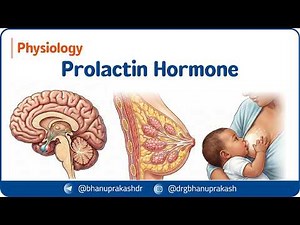 9. Prolactin Hormone 🧪 | Physiology, Regulation & Clinical Disorders | USMLE NEET-PG