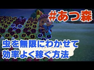 【あつ森】花を使って虫を無限にわかせてお金を効率よく稼ぐ！序盤におすすめの金策方法！【あつまれどうぶつの森/攻略/裏技】