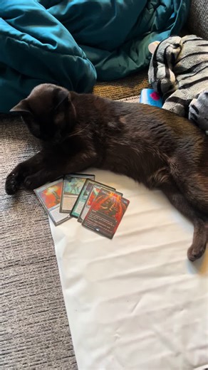 That’s too many counterspells. #edh #magicthegathering #mtgcommander #edhrec