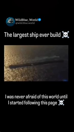 Wild Blue World on Instagram: "The largest Viking ship ever discovered is the Roskilde 6, a massive longship found in Denmark in 1997. Measuring approximately 37 meters (121 feet) in length, it is significantly longer than famous ships like the Oseberg or Gokstad. Built around 1025 AD using oak, it was a specialized troop carrier capable of carrying roughly 100 warriors, with 78 of them serving as rowers. Its sheer size suggests it was a "dragon ship" (skeid) belonging to a high-ranking royal fl