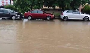 31K views · 779 reactions | Ама никој не ни е крив сами си ги гласаме...  | Shilo Magazine Шило Магазин | Facebook