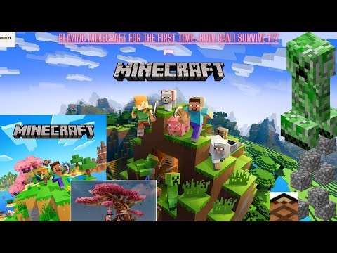 Playing Minecraft for the first time – how can I survive it?