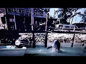 Flipper Intro show from 1960's