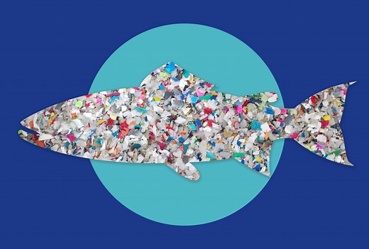 A New Study Says Microplastics Are Widespread in Seafood — Here's What You Need to Know