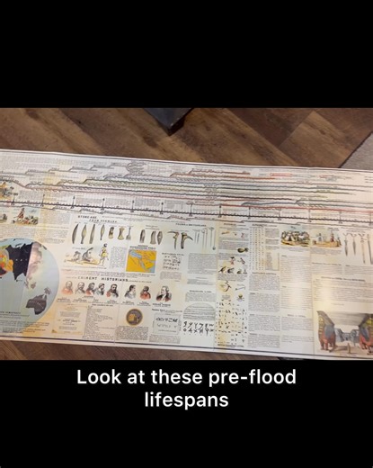 Most people picture Goliath as rare — a one-off giant. But the Bible shows something different. Early humans lived nearly 1,000 years in a perfect pre-Flood world… long before 6,000 years of genetic decay, disease, and environmental collapse shrank us into what we are now. What kind of body did God create to live that long? Not frail. Not weak. Not broken. We were fresh from the hand of God — strong, intelligent, beautiful, and far greater than we are today. In this video, we look at what humani