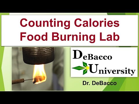 Counting Calories - Food Burning Lab