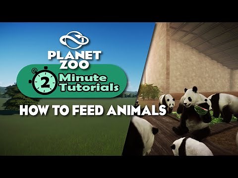 How to feed animals | 2 minute tutorials | Planet Zoo