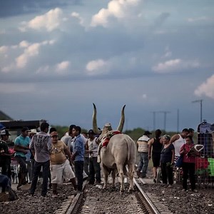 ¡Su trabajo lo ha llevado a ser reconocido internacionalmente! 🤩🙌 Conoce a uno de nuestros profesores que te enseñará a ser un experto en fotografía 😎👇 | Canon Academy