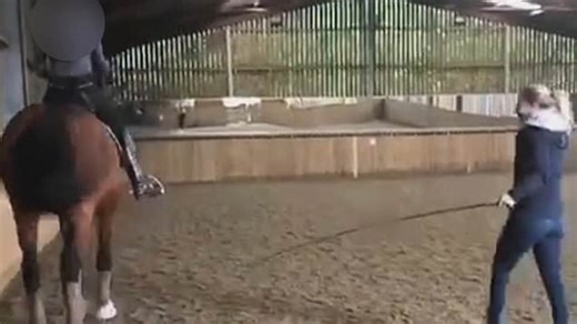 Olympian Charlotte Dujardin filmed whipping horse on its legs up to 24 times in training