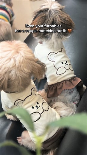 Matching Valentine's Outfits for Your Furbabies