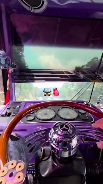 Old School VIP Buses