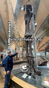 410K views · 12K reactions | Ultrasaurus! The Gunma Museum of...