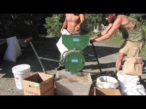 Wild Rice Hulling the Fast Way