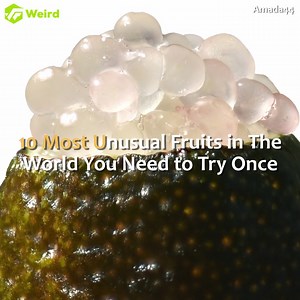 620K views · 10K reactions | 10 Most Unusual Fruits in The World You Need to Try Once | Weird Facts | Facebook