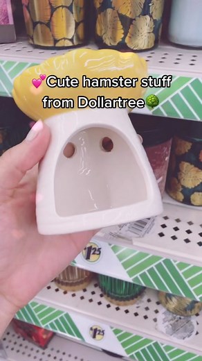 Adorable Hamster Accessories from Dollartree