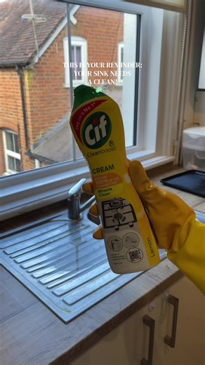 Quick Kitchen Sink Cleaning in Five Minutes