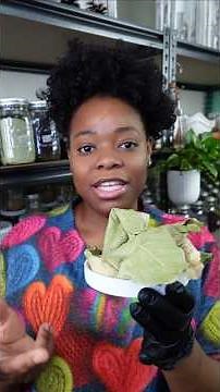 Ackee Leaf Explained: Uses, Safety & Jamaican Bush Medicine Traditions