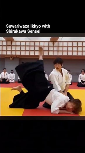 合気道講習会紀錄part.1／白川竜次師範（Aikido Seminar Record Part 1 / Shirakawa Ryuji Shihan.)#aikido#合氣道#合気道興流会