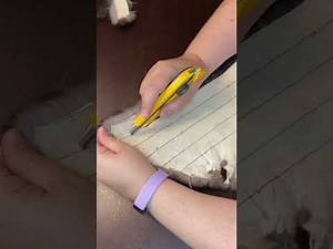 How to Attach Fur to Moccasins: A Step-by-step Guide