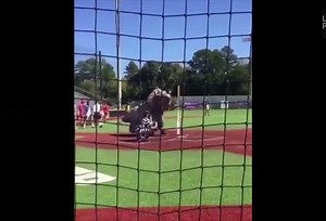 Incroyable mais vrai: cours, Forrest!