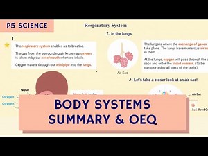 PSLE Science Body Systems Summary & OEQ (TTA P5 Science Ep 12)