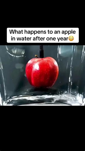 Apple in Water for 365 Days Experiment