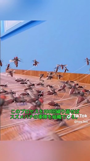 スズメバチの軍隊を組織する方法