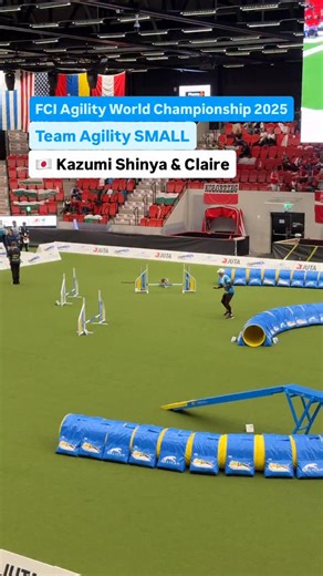 Agility Dogs World 🐾 | Best Agility Moments on Instagram: "🇯🇵 Kazumi Shinya & Claire – the speedy Pembroke Welsh Corgi! 🐾 With a clear run in 46.95 s (4.7 m/s), this small but mighty corgi claimed an incredible 3rd place. What a performance from Team Japan! #AWC2025 #AgilityWorldChampionship #TeamJapan #KazumiShinya #ClaireTheCorgi #PembrokeWelshCorgi #SmallButMighty #DogAgility #AgilityDogsWorld #AgilityLife #AgilityCommunity #AgilityCompetition #DogSport"