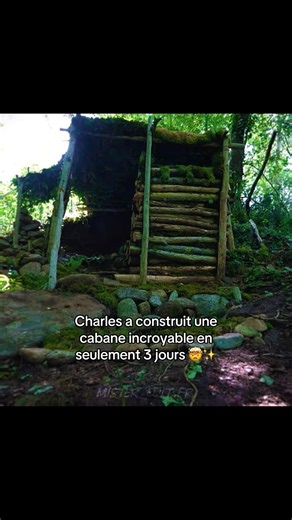 La cabane est incroyable 🤩✨ ‪@CharlesMelanie‬ #charlesetmelanie #viral #pourtoi #survie #construction