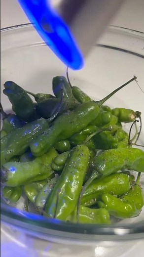 The Perfect Appetizer: Shishito Peppers