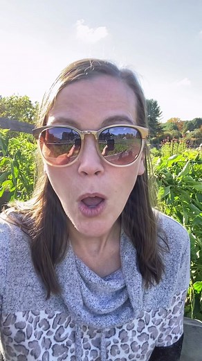 What is the difference between a fruit and a vegetable? Are vegetables even a thing? I think I might ruin your day. I’m sorry. #sorrynotsorry #fruitsandveggies #fruitsandvegetables #backyardgarden #growyourownfood #homegrown #gardentok #gardening101 #gardeningtips #verygoodgardening #gardentoplate #abundance #vegetablegarden