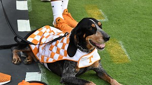 Tennessee mascot Smokey X debuts new threads in season opener against Georgia State