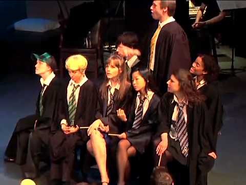 What the hell is a Hufflepuff