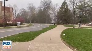 It was a wild scene at Penn State College today as heavy rain and graupel hammered the area. #pennsivania #rain #FoxWeather | FOX Weather
