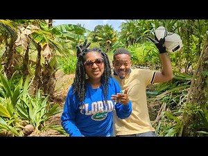 Incredible 300+ acre Jamaican tropical, exotic fruit farm tour with @JAMAICAN AGRI BOSS#1