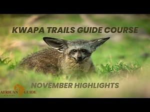 Trails Guide Course Highlights November 2024 - African Guide Academy