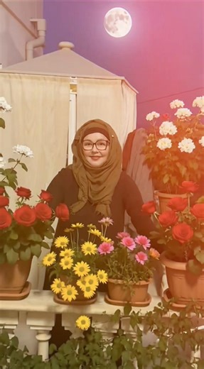 #peace #ventanal #love #muslimtiktok #romanticizeyourlife