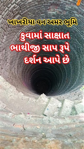 ખાખરીયા વન ફાગવેલ આ કુવામાં સાક્ષાત ભાથીજી દર્શન આપે છે #trending #sorts #bhathiji #fagvel #video