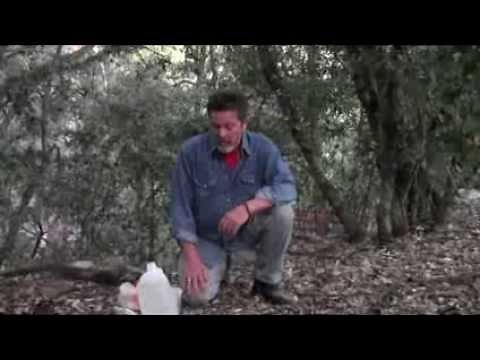 Water-Wise Remote Tree Watering