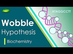 Wobble Hypothesis | Anti-Codon | BIOCHEM| Part-4 | Protein synthesis |
