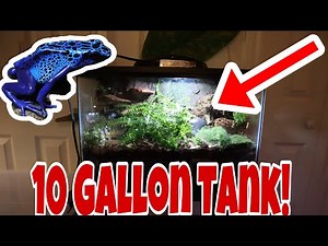 (DIY) 10 Gallon Bioactive Dart Frog Setup!!
